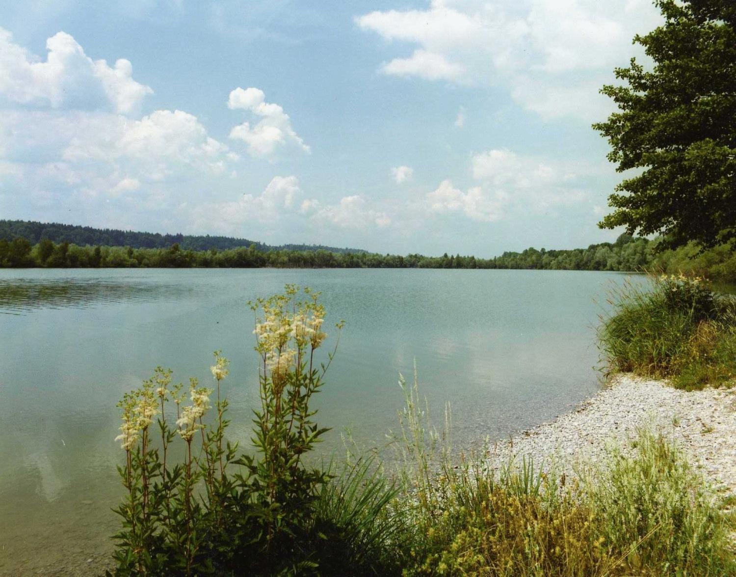 Gasthof Zum Kirchenwirt Kirchdorf am Inn Exteriör bild